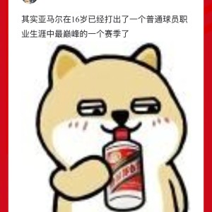 开云电子-24年亚马尔与现役道曼谁更惊艳|拉米内·亚马尔|法国足球队|欧洲杯|金童奖_新浪体育_新浪新闻